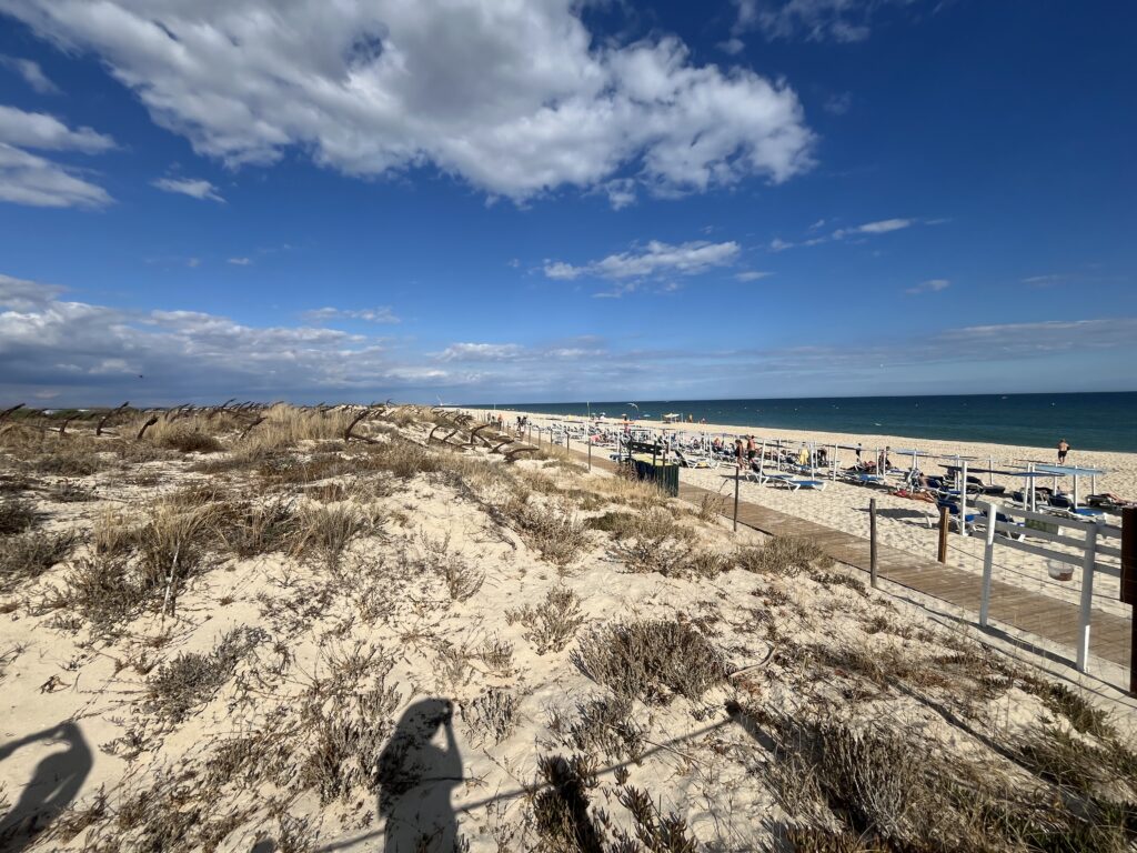 AMAZING rental apartment in Tavira Portugal sunny refuge img 4544
